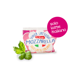 Mozzarella senza Lattosio Gr. 100