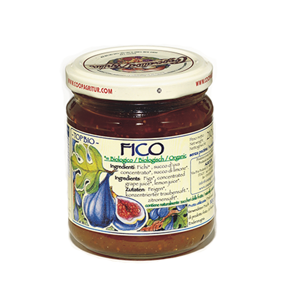 Composta Fico Bio 110% Gr. 210