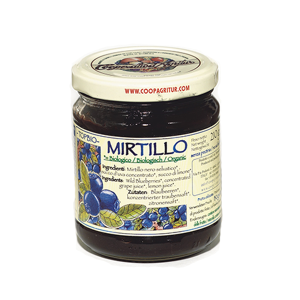 Composta Mirtillo Bio 130% Gr. 210