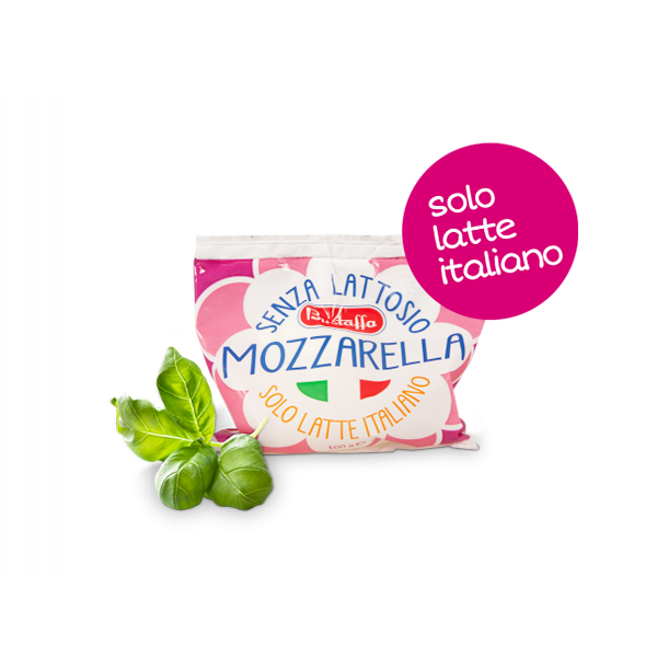Mozzarella senza Lattosio Gr. 100