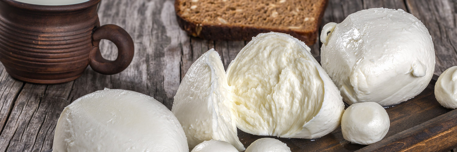 Büffel-Mozzarella, die Königin der mediterranen Küche